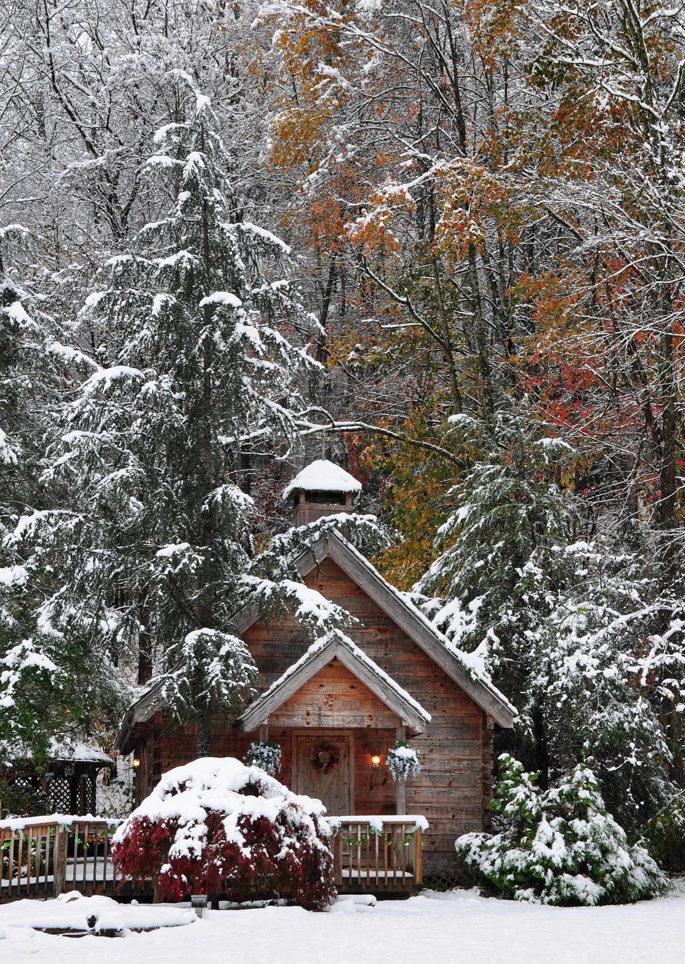 Fall and Winter
