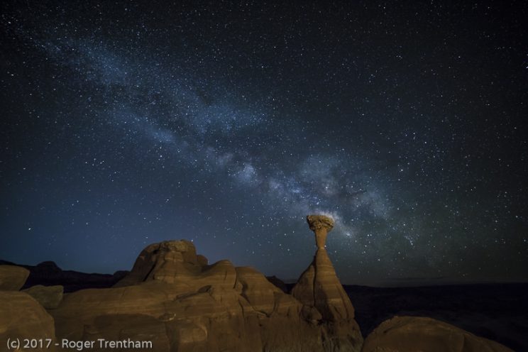Night Sky at the Toadstools