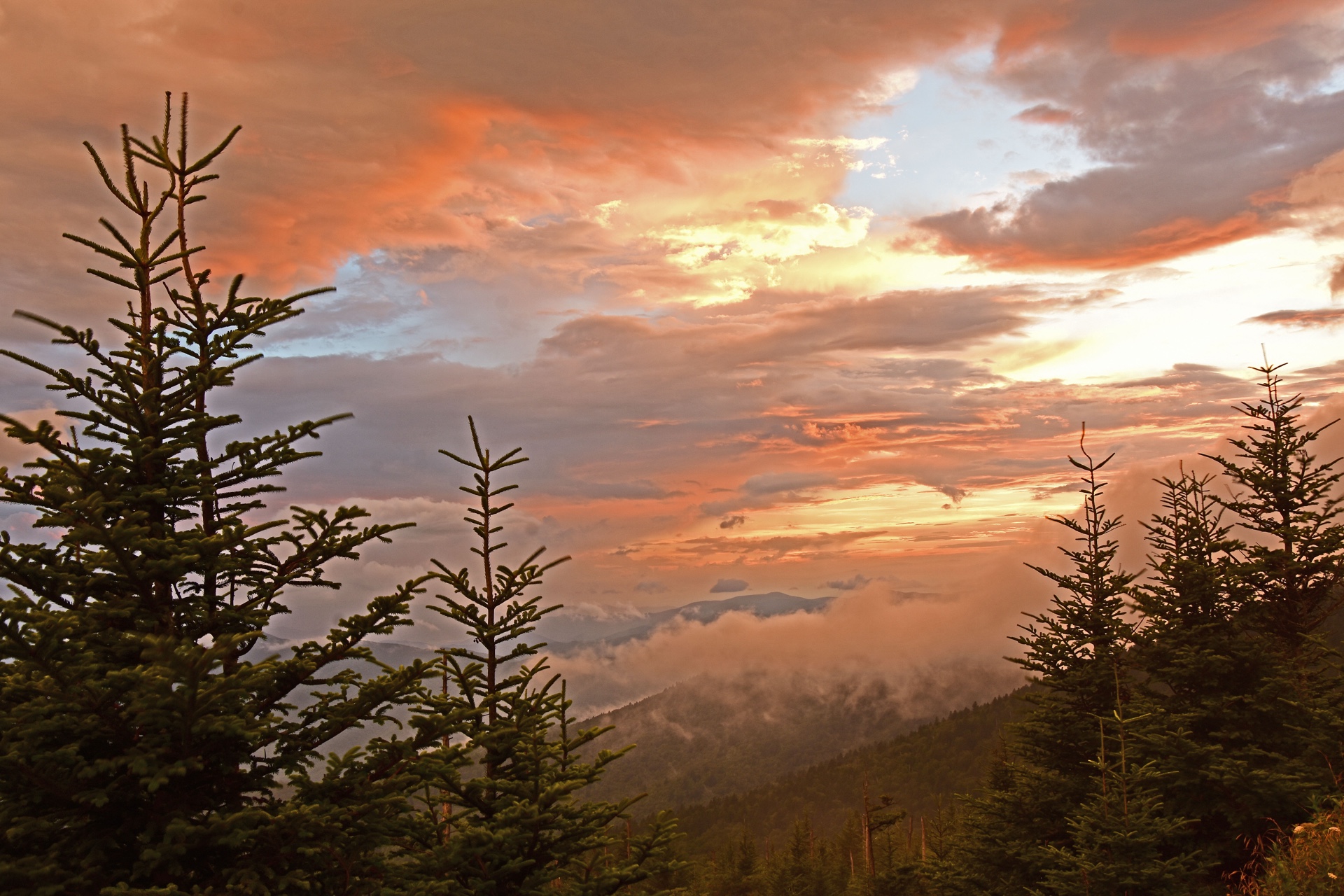 Mountain Sunset
