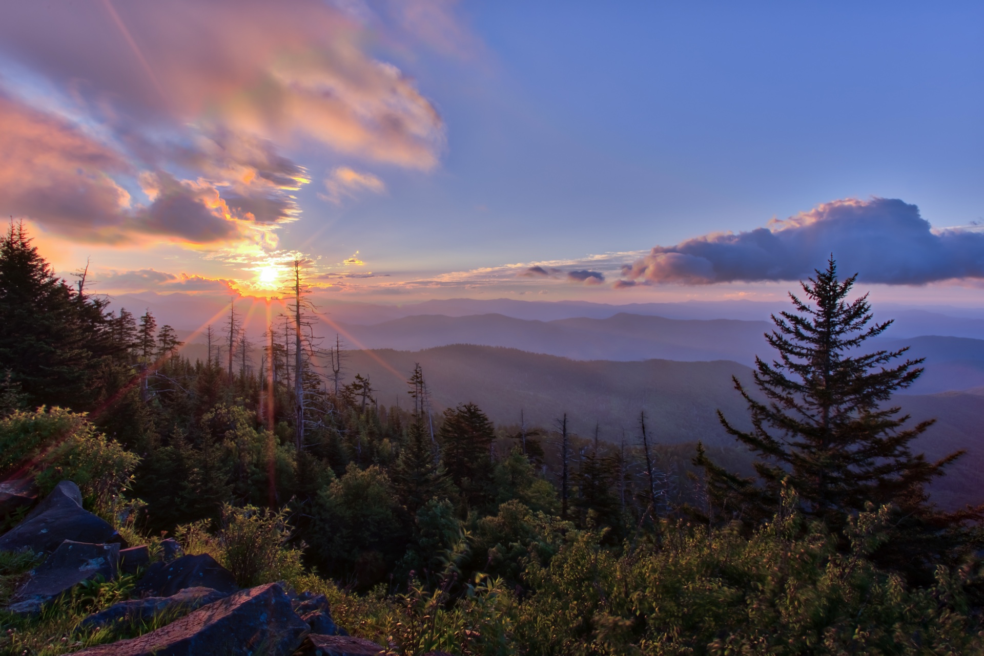 A New Day of Tranquility