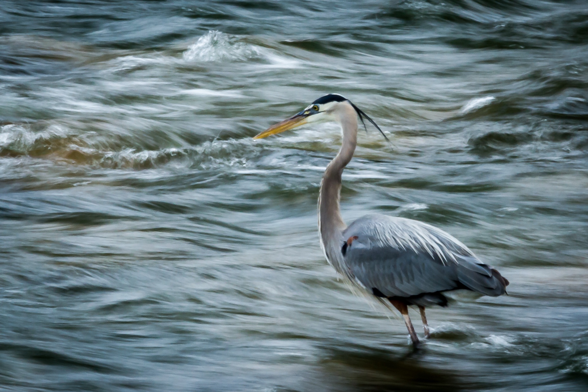 Stillness In Motion-1