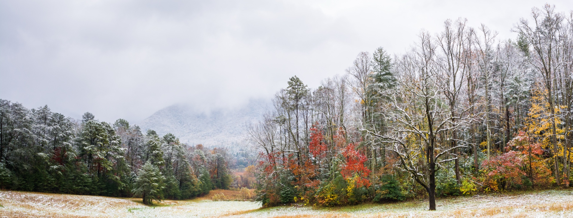 Autumn Snow