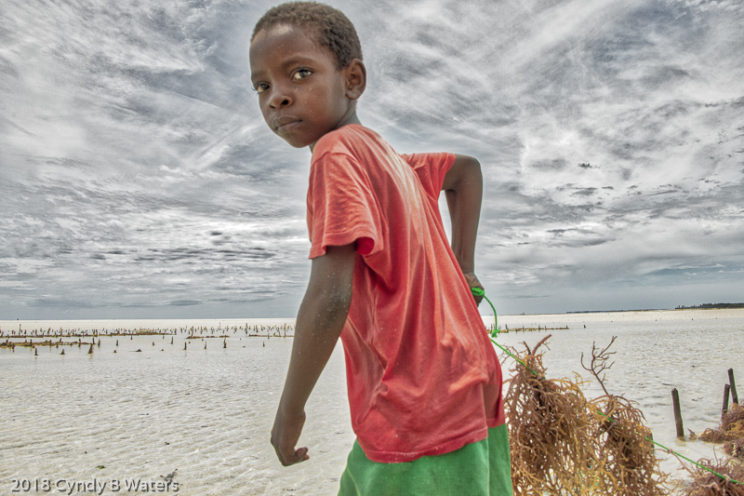 Fatuma Helping Her Mother Harvest Seaweed