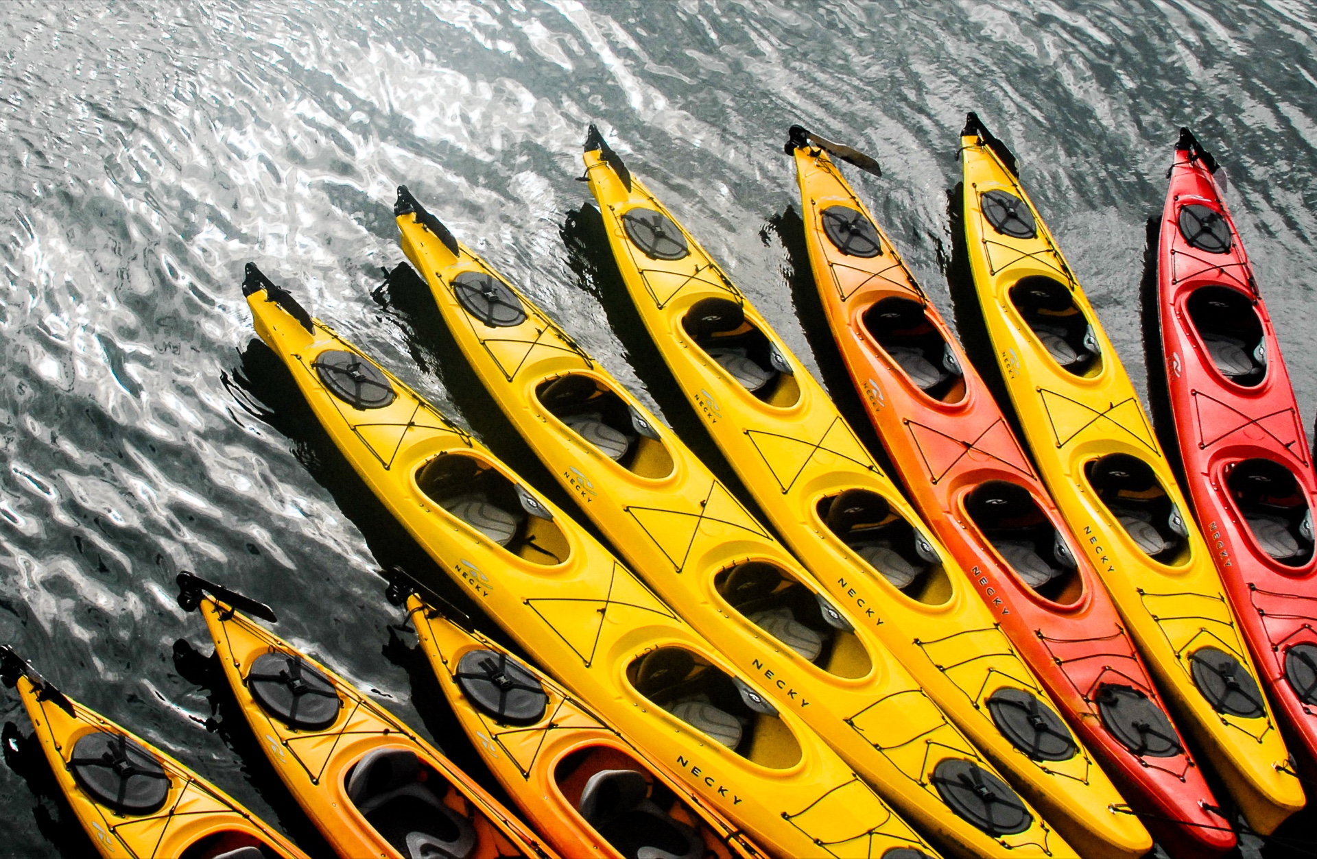 Kayaking Anyone