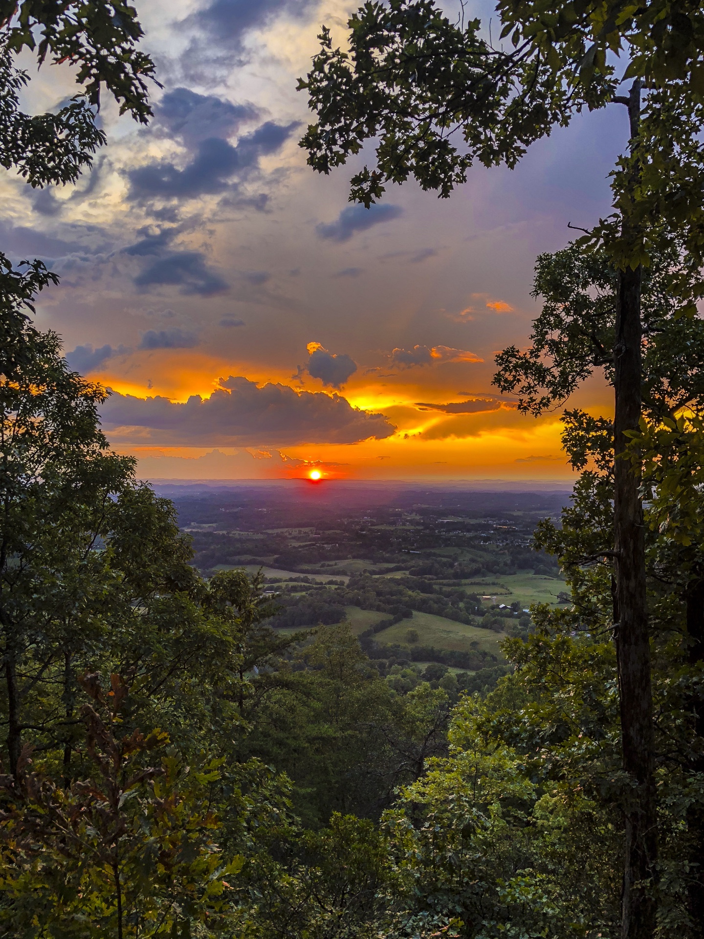 Big Orange Valley