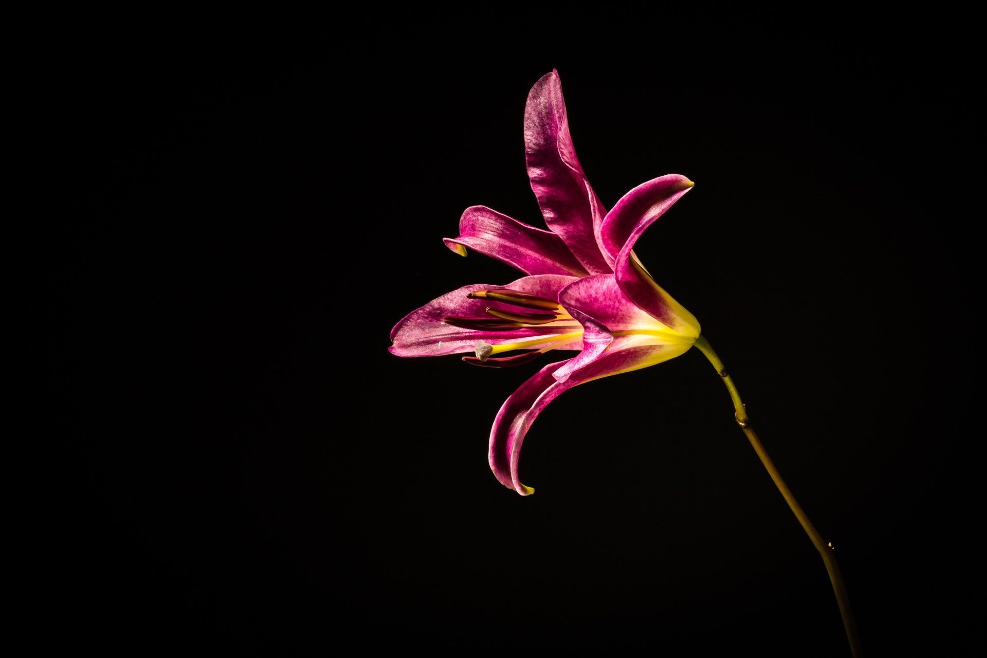 In The Dark-1