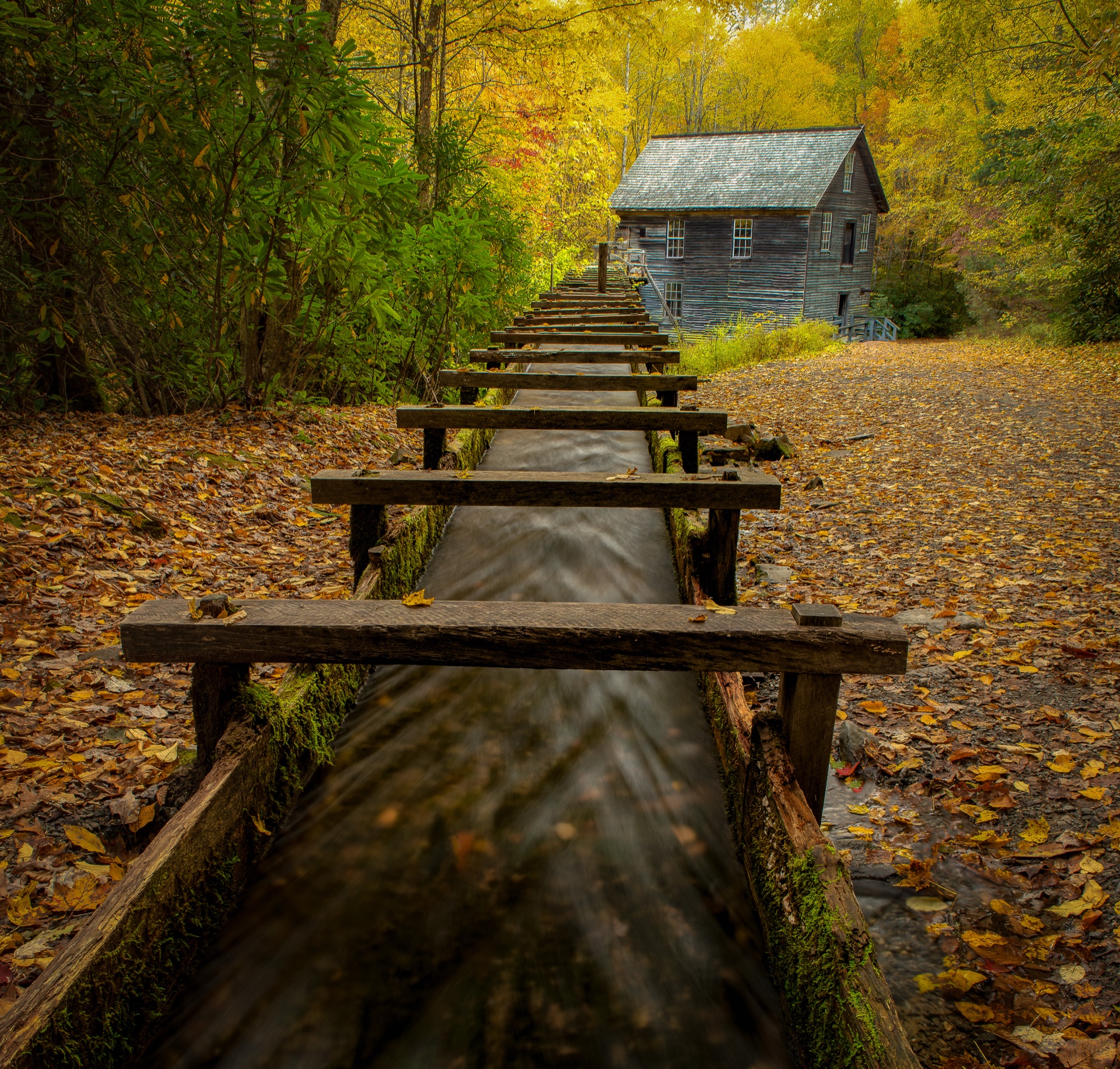 Mingus Mill