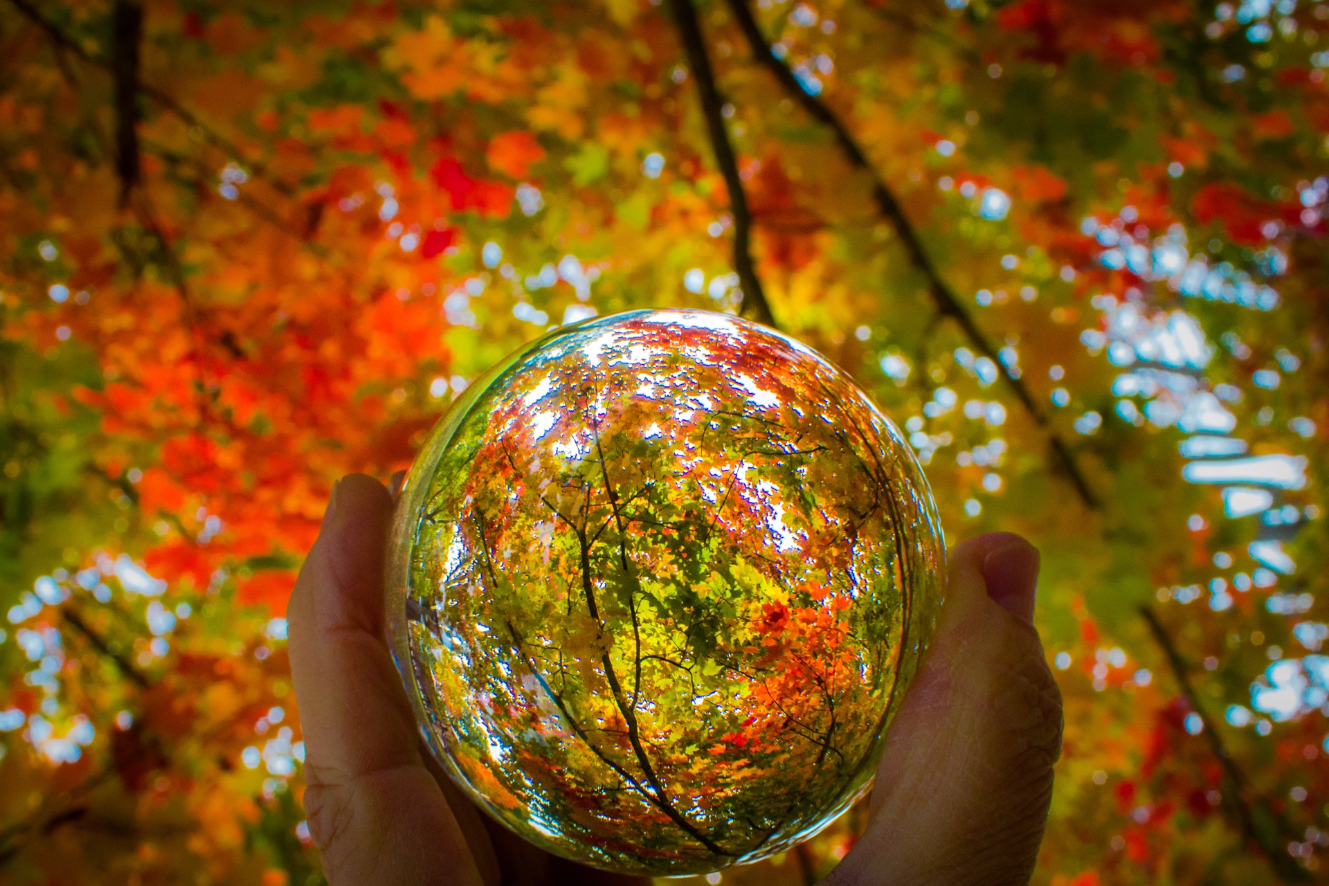 Crystal Ball Fall Colors