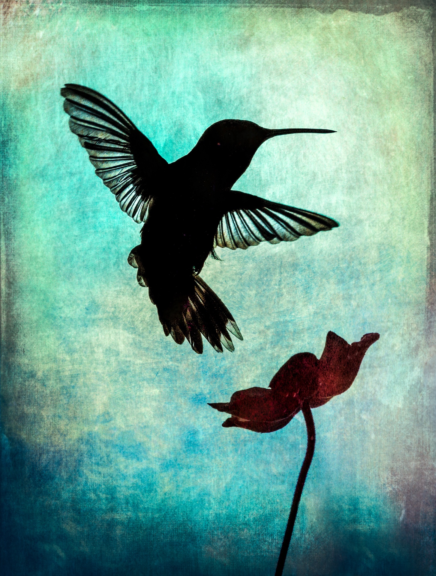 Little Birdie