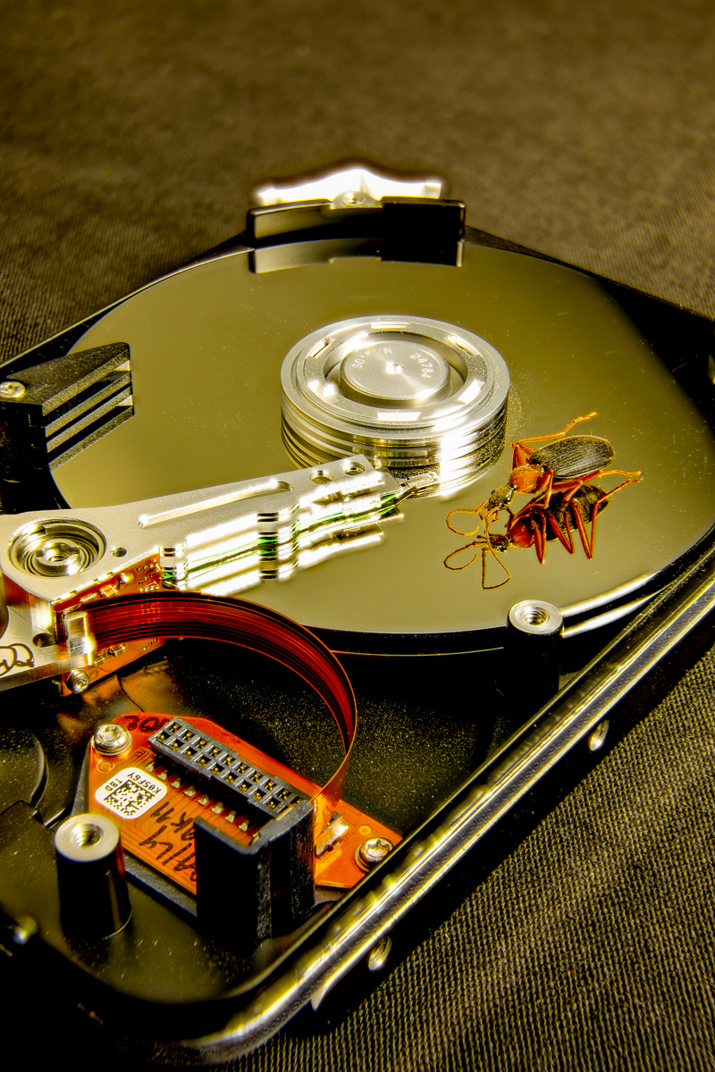 A Bug in My Data