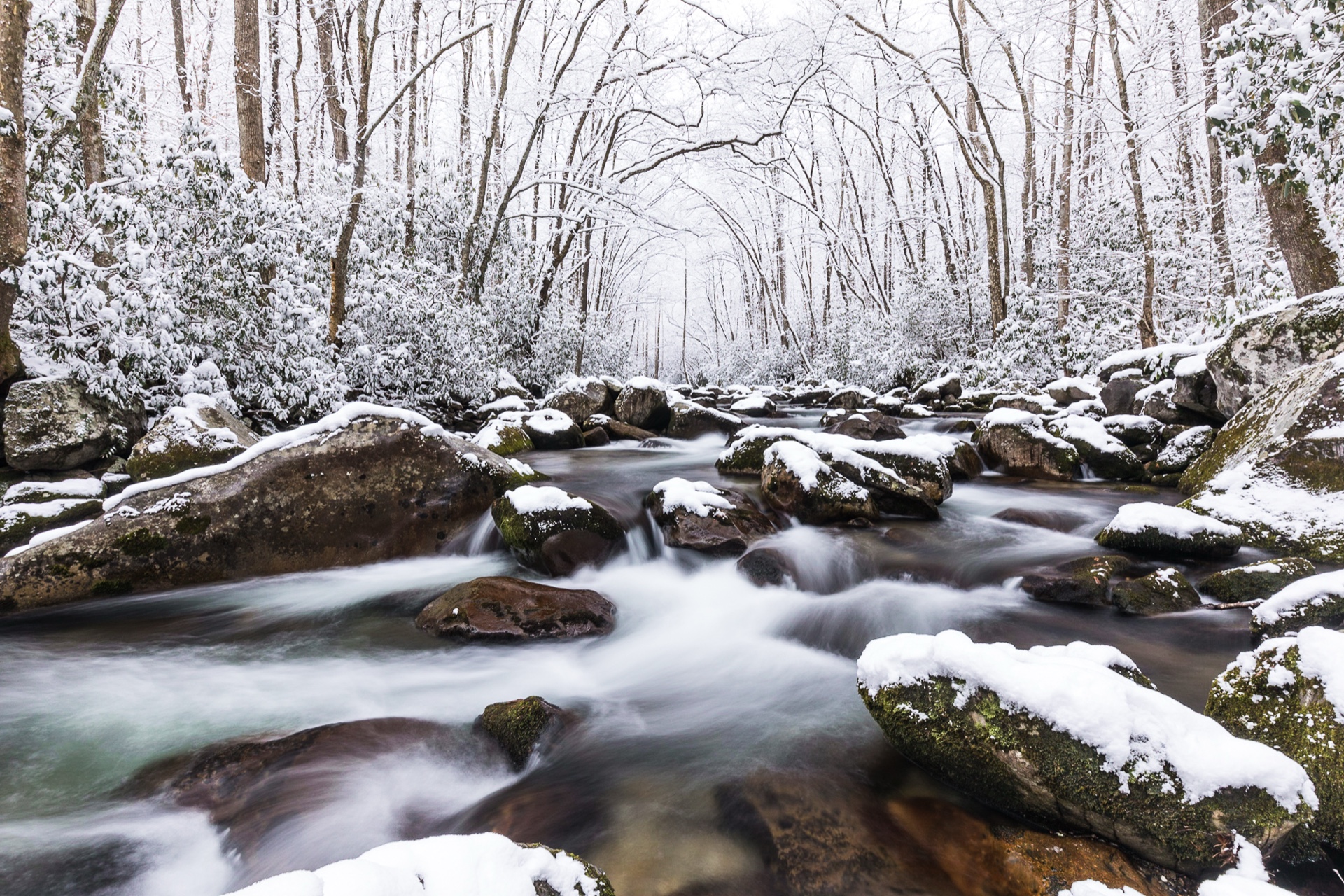 The Wonders of Winter