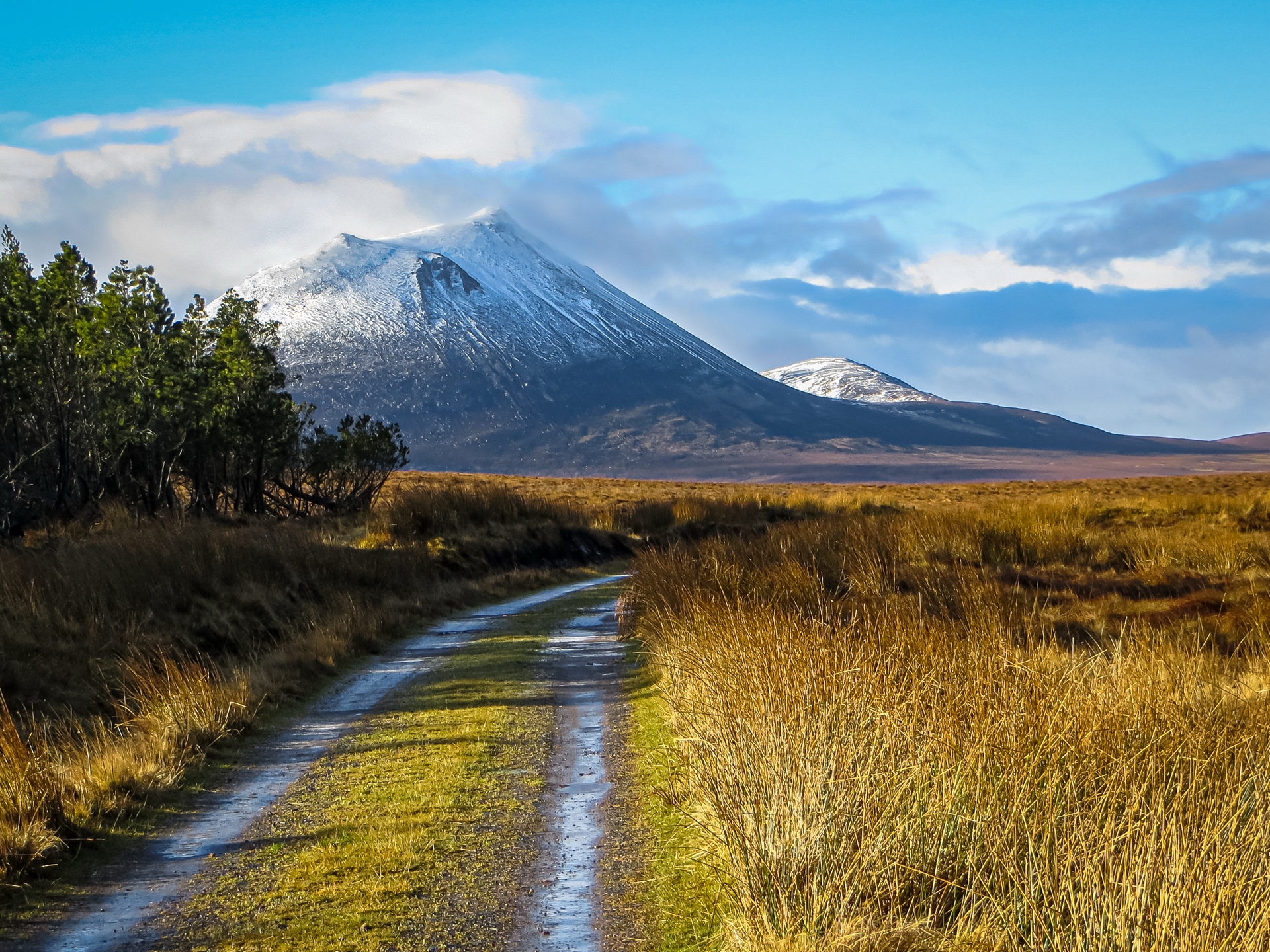 Morven