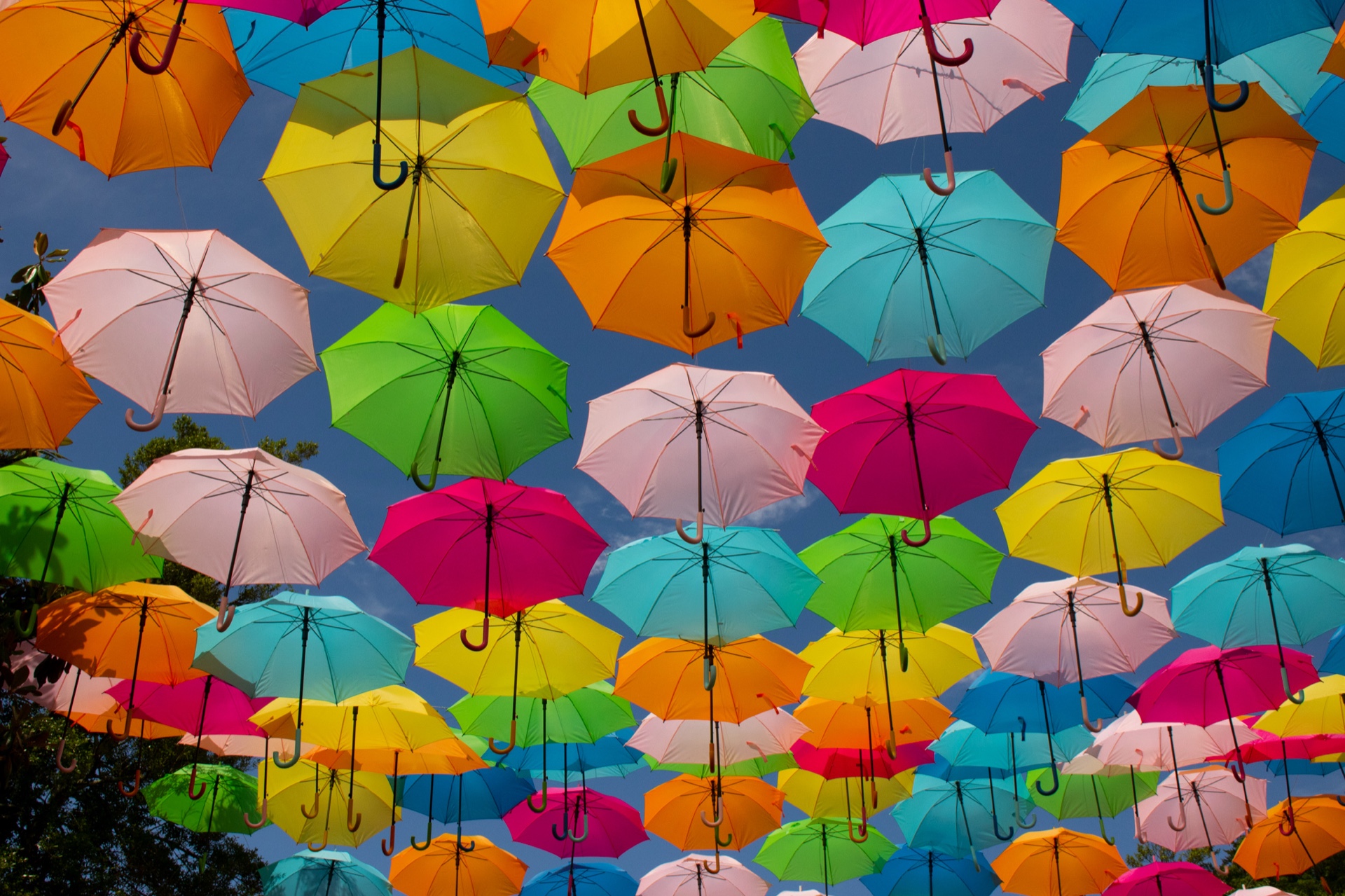 Umbrellas in the sky
