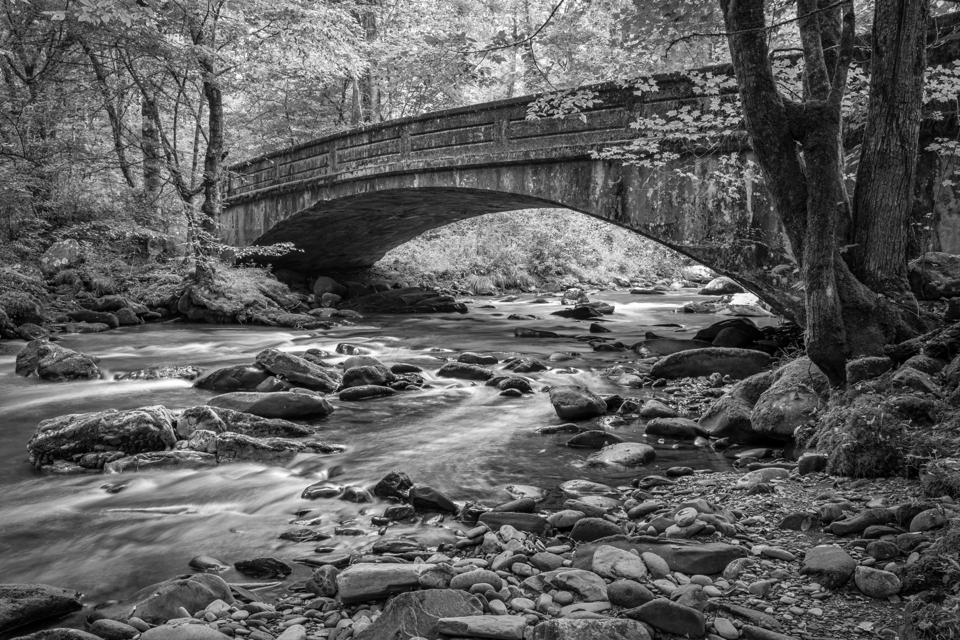 Tranquility