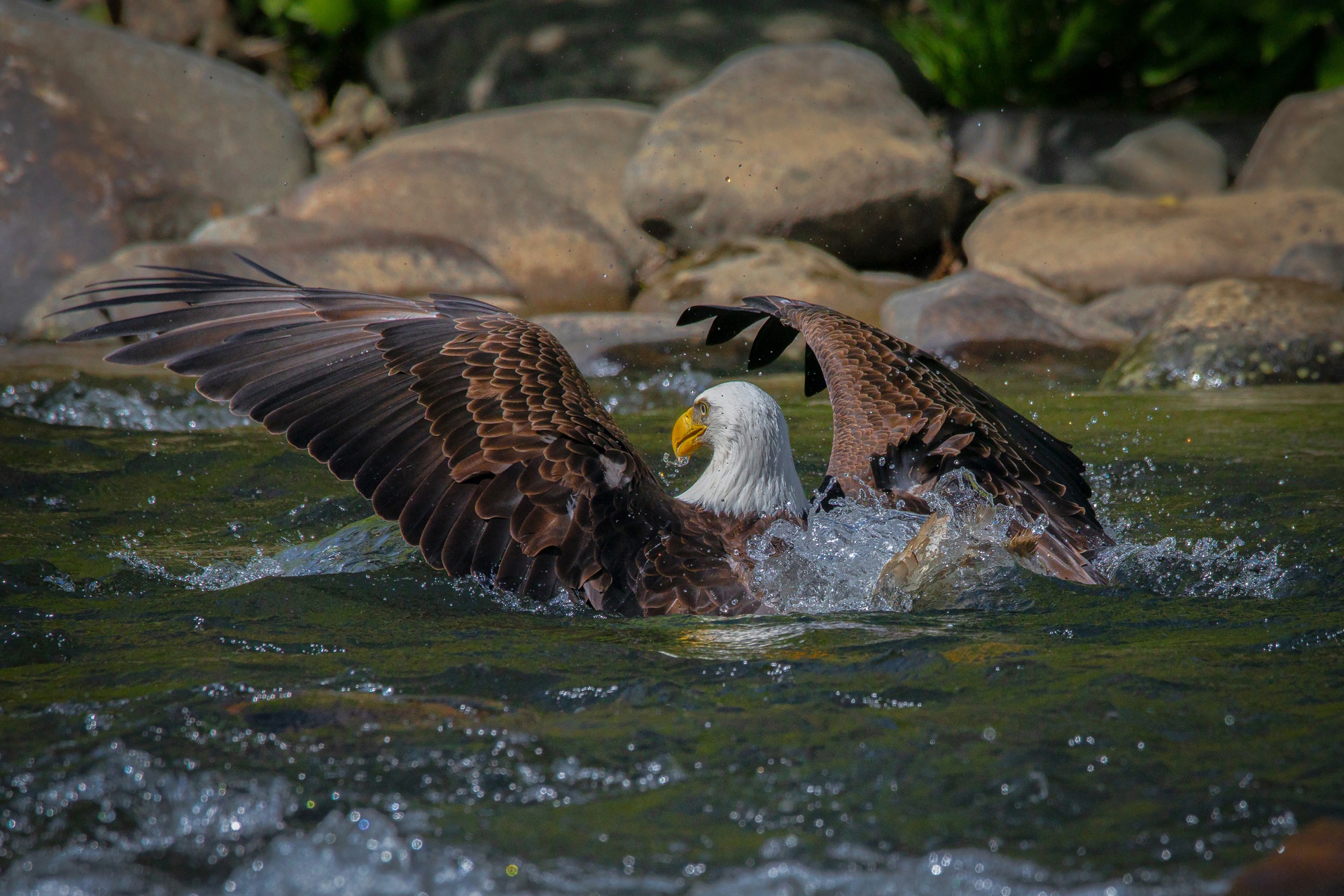 Splashdown