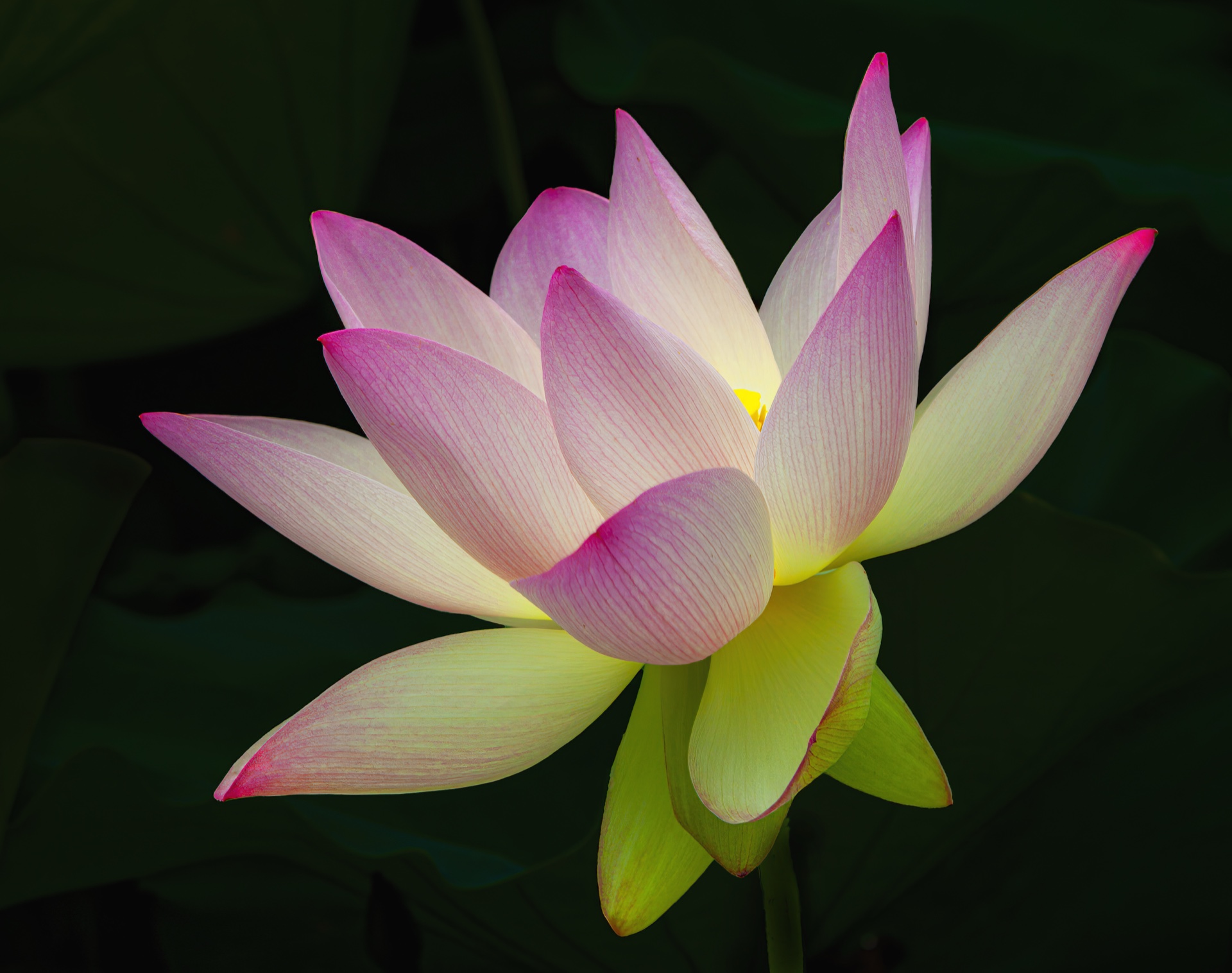 Inner Glow