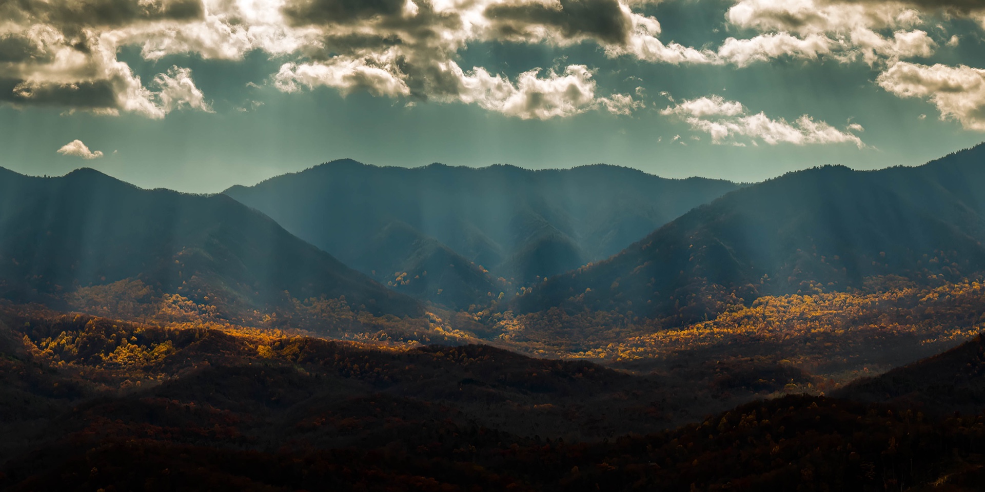 Autumn Rays