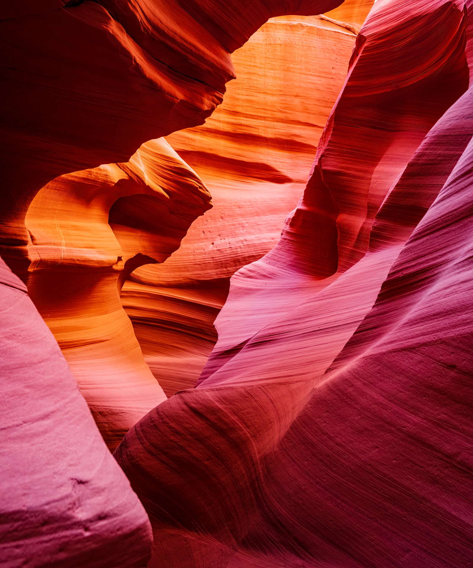 Canyon Shadows