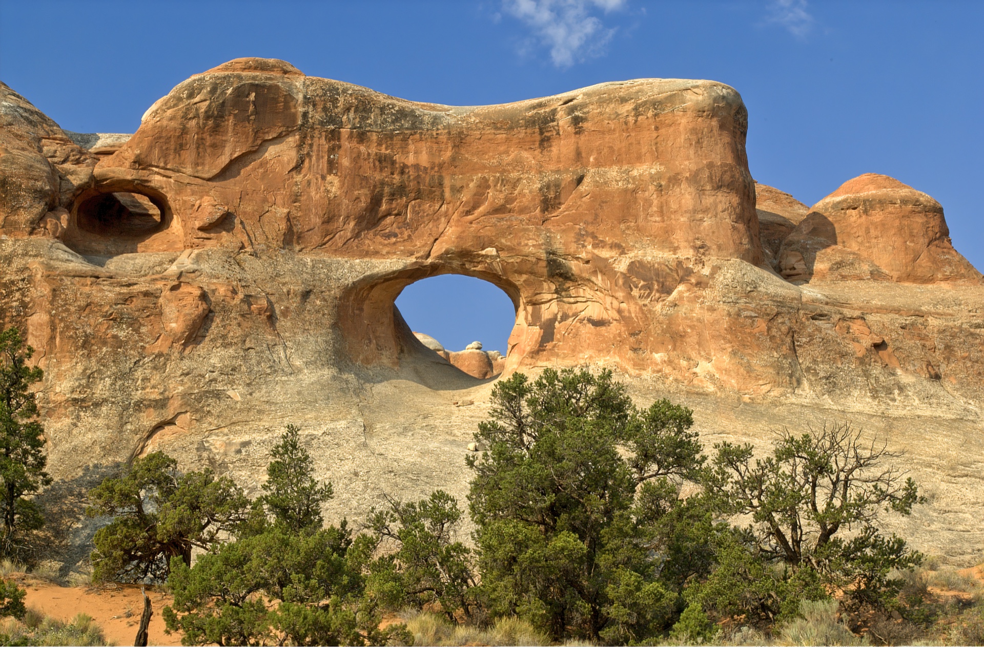 Window Arch