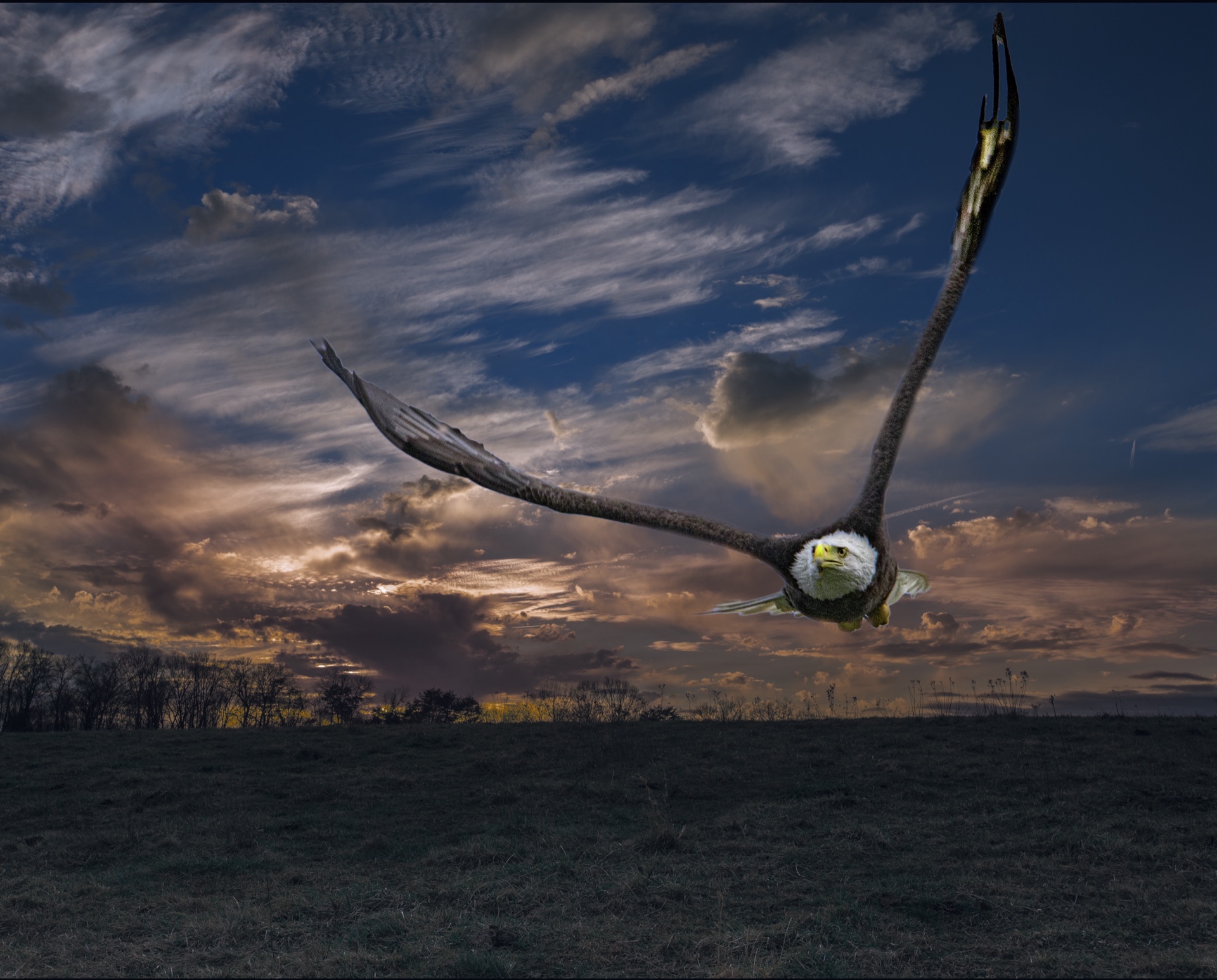 Hunt Over Murphy Farm