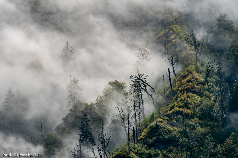 Smoky Ridge
