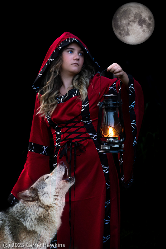 Little Red Ridinghood