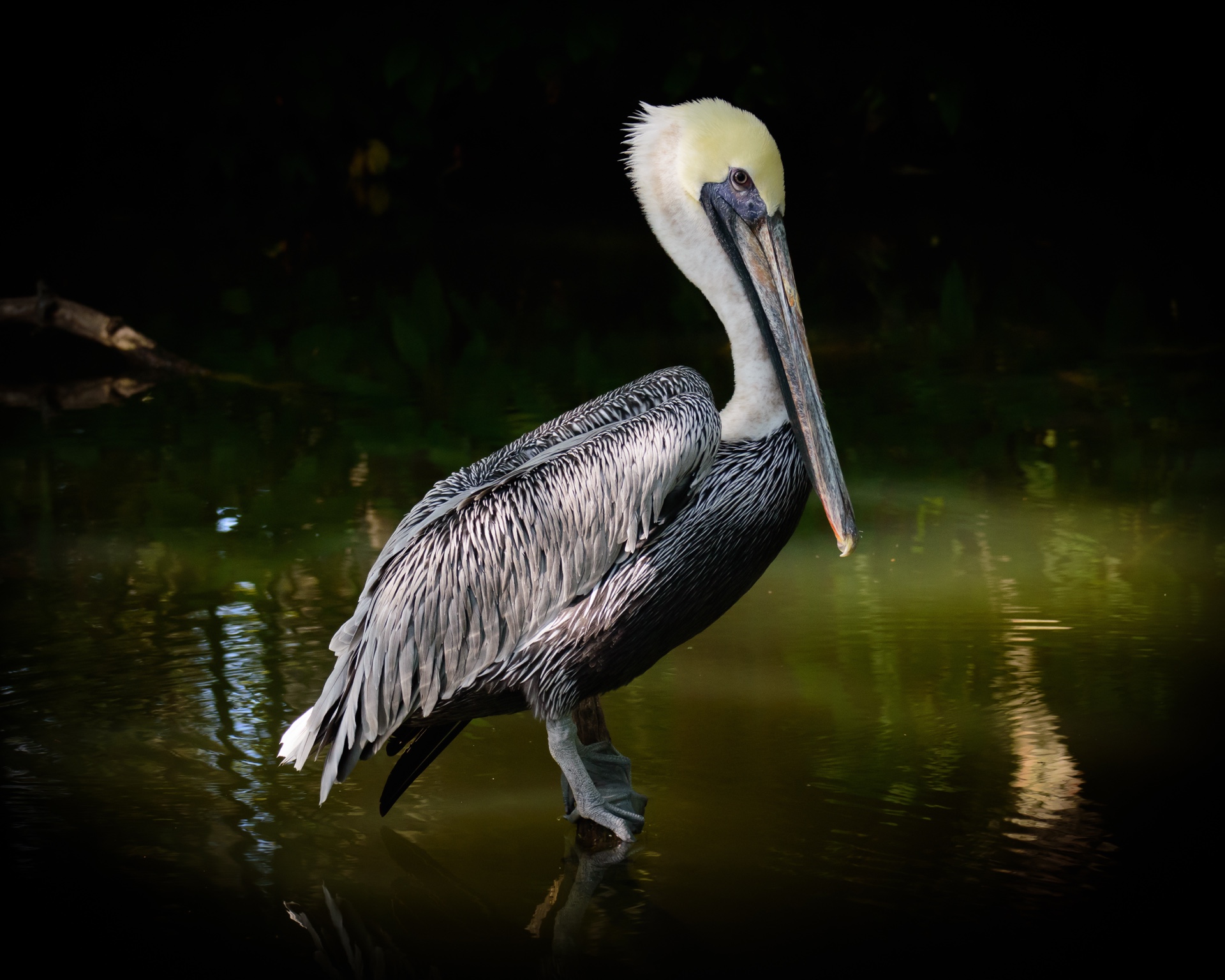 A Reflective Pause