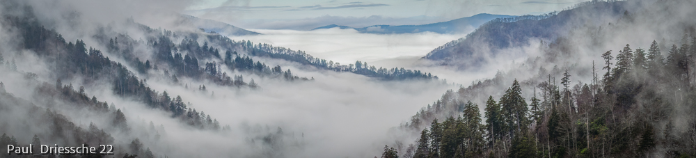 Weather at Morton Overlook