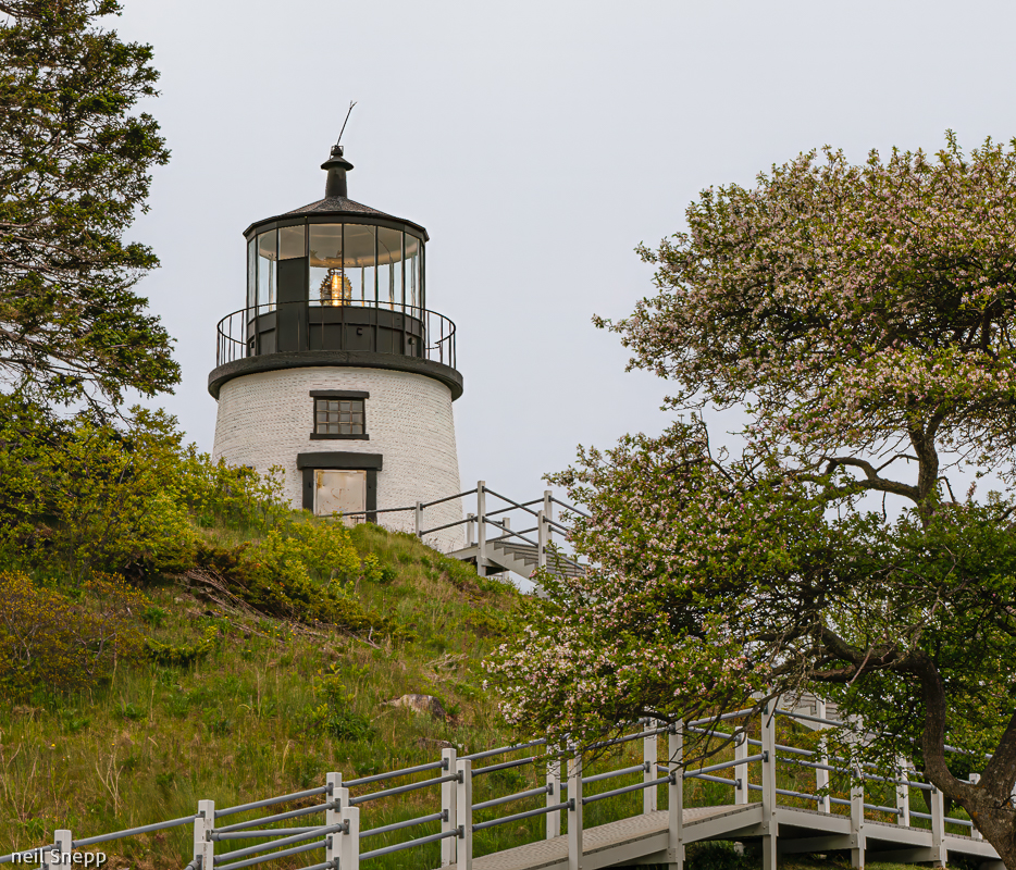 Owls Head Lighthouse