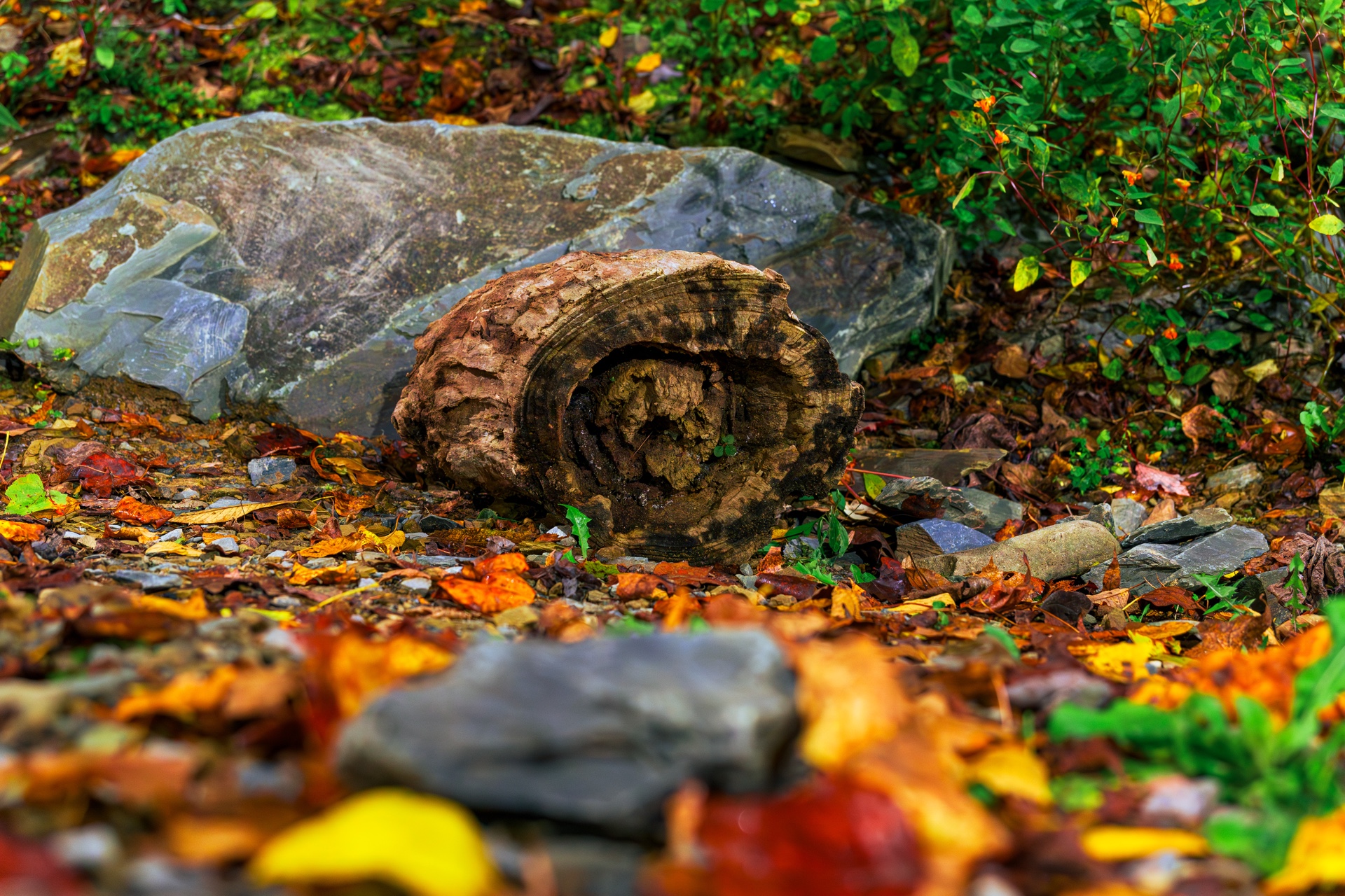 In Autumn