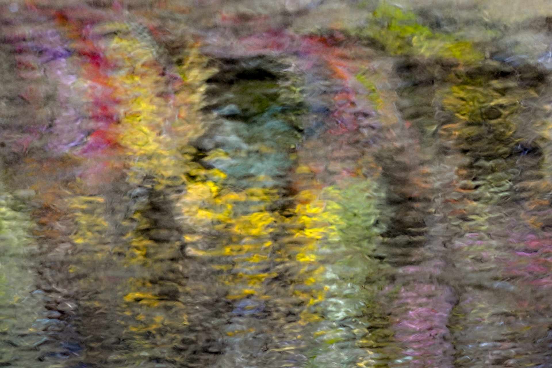 Autumn Reflections