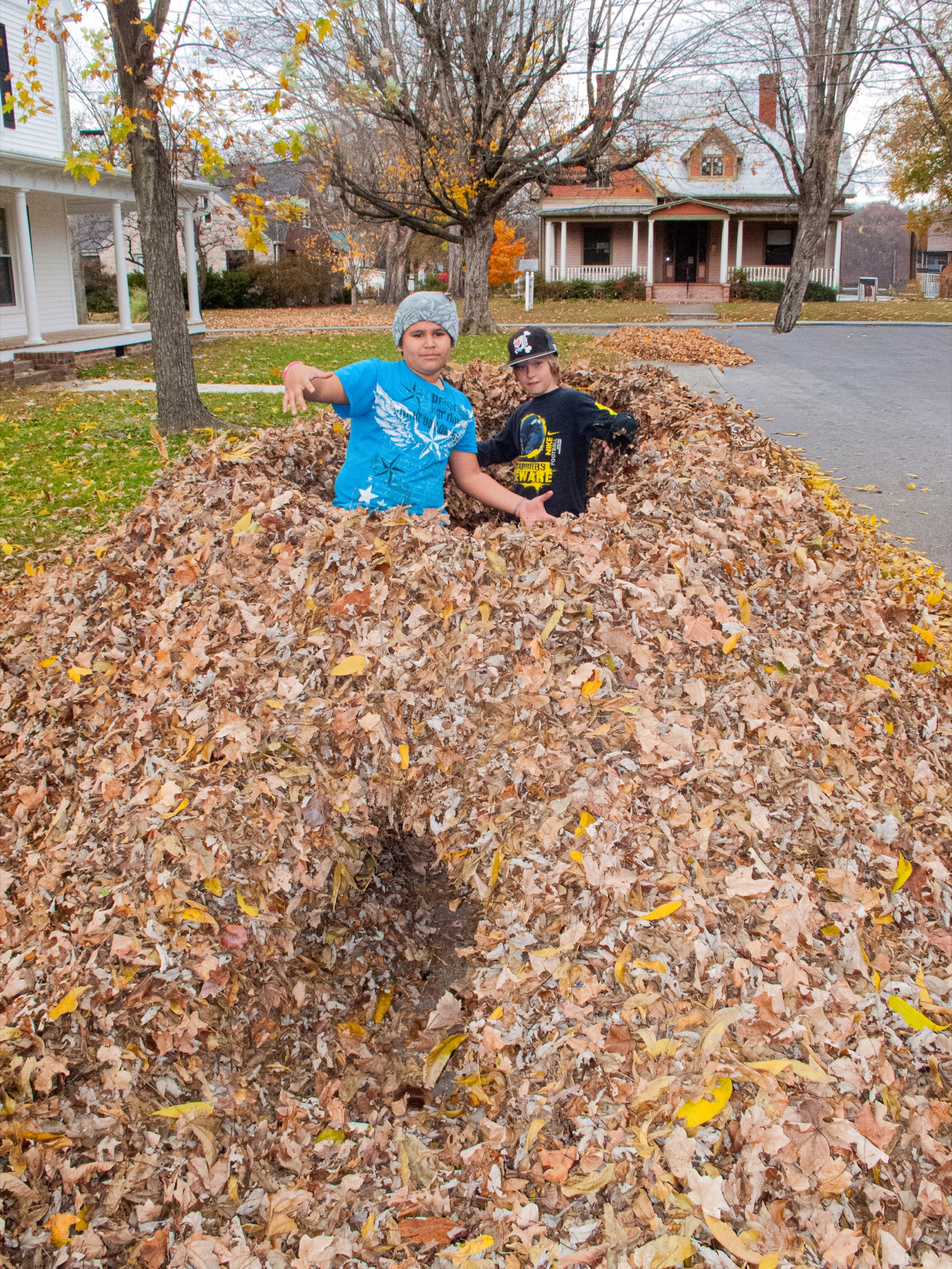 Enjoying leaves