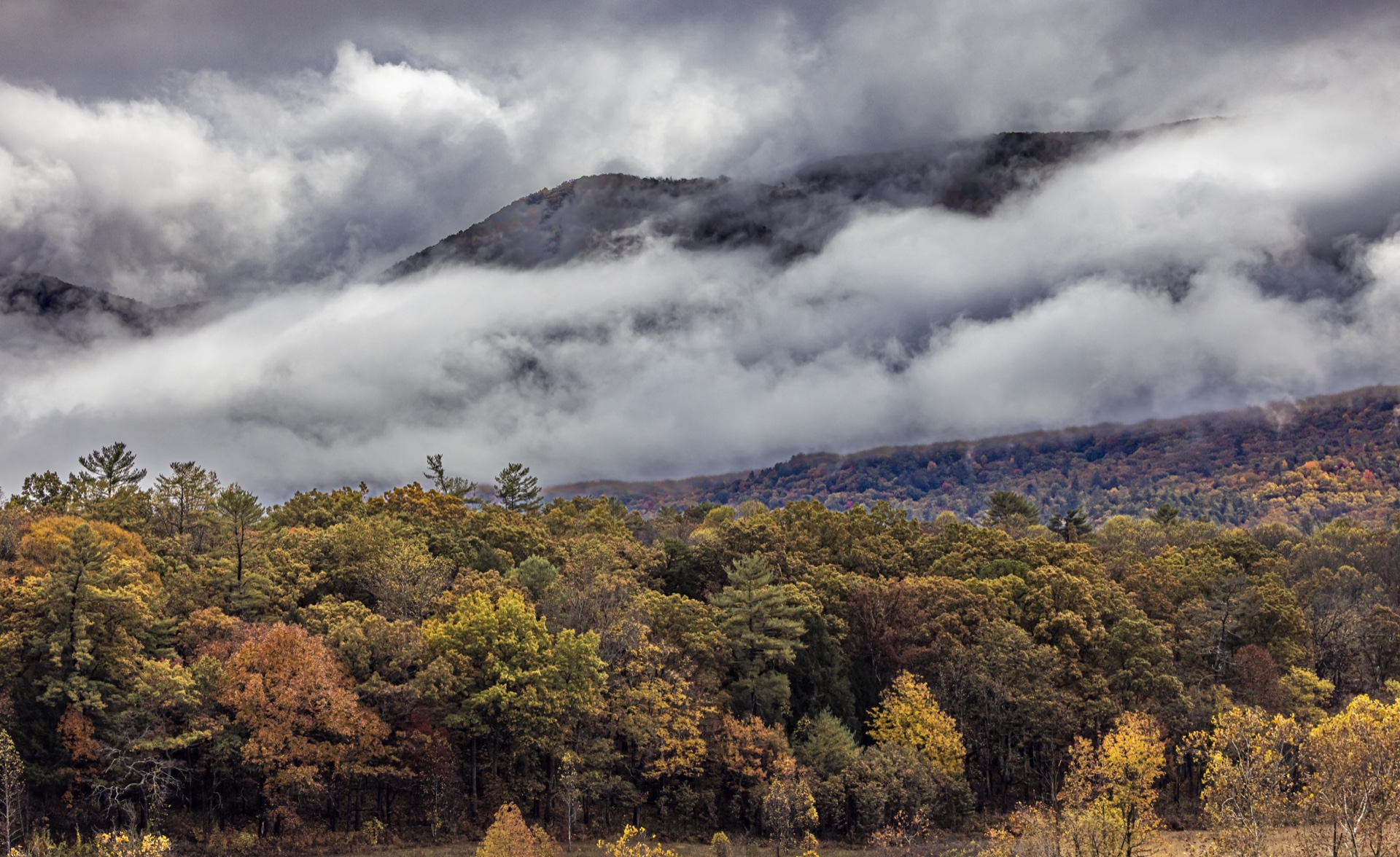 Rainy Day in Cades Cove