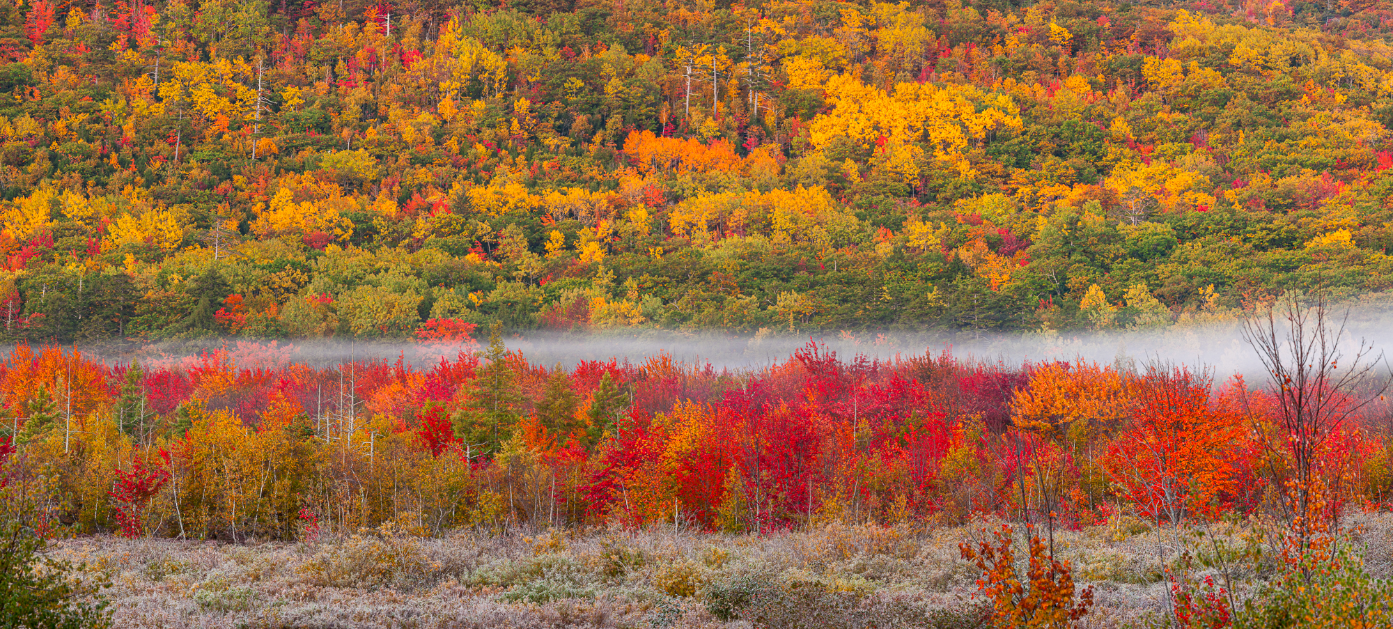 Autumn in Acadia - Great Meadow