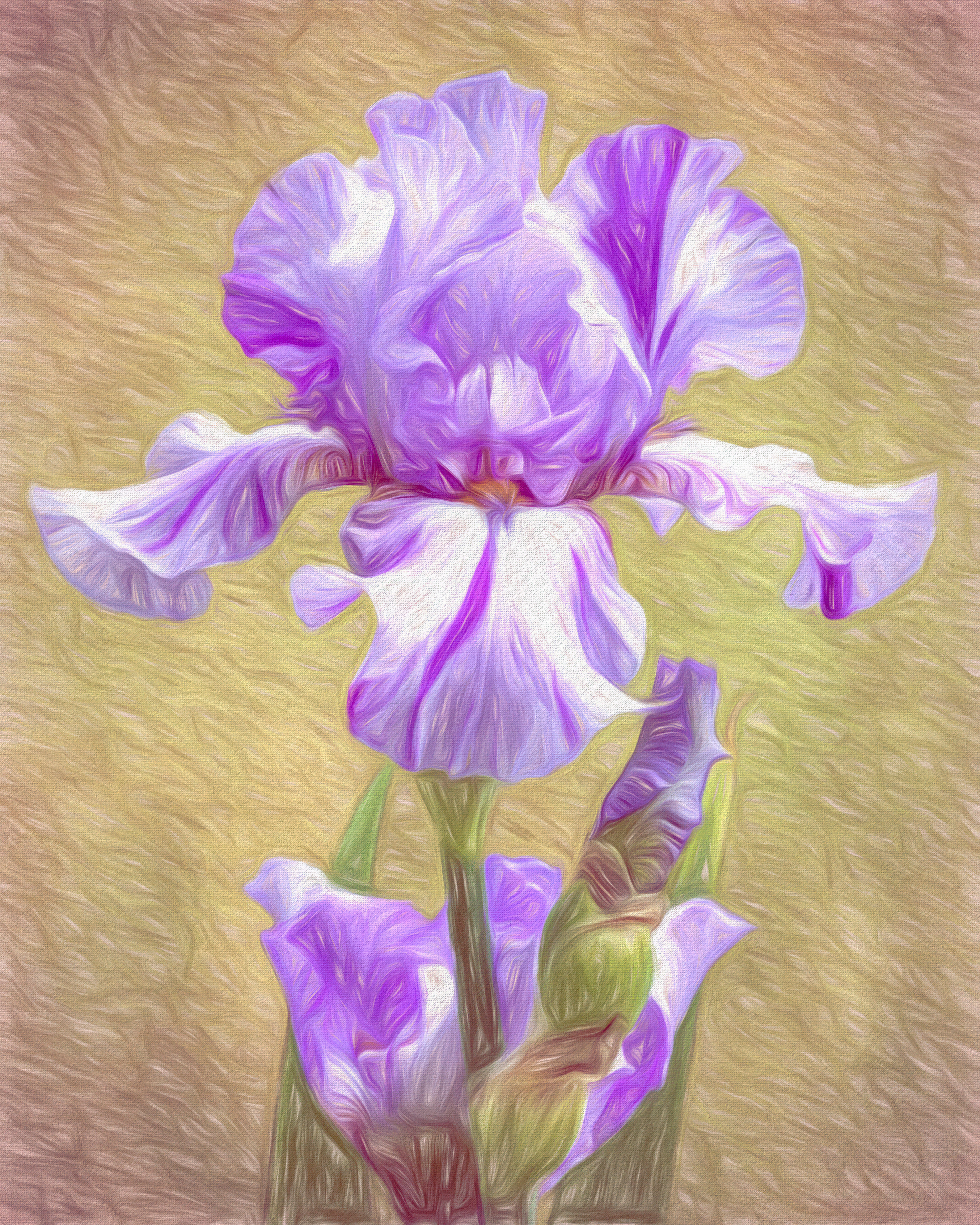 Impression of an Iris